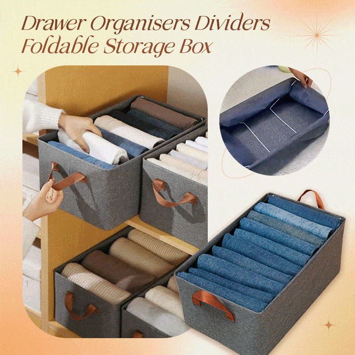 Storage Organizer (Buy 1 Get 1 Free)