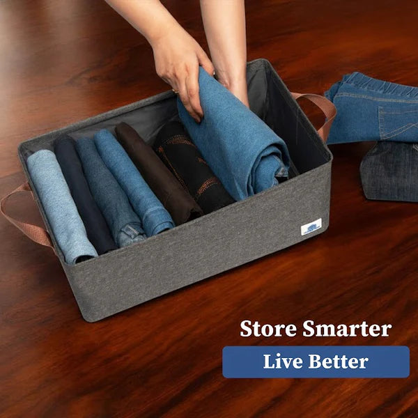 Storage Organizer (Buy 1 Get 1 Free)